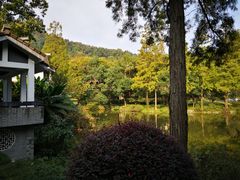 -杭州花家山庄
