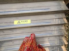 -西双版纳原始森林公园