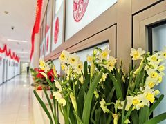 -中央广播电视总台(光华路办公区)