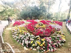 -共青国家森林公园-售票处