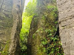 -梦幻奥陶纪景区