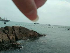 -枸杞岛