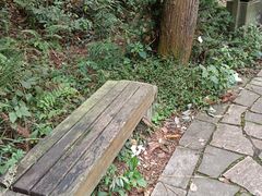 -北仑森林植物园