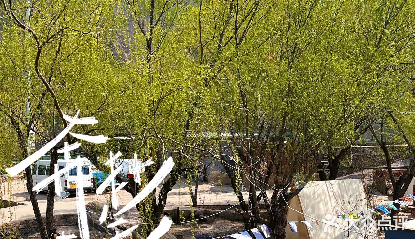 放假了来怀柔旅游发现了一家性比价很高的餐厅