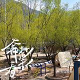 放假了来怀柔旅游发现了一家性比价很高的餐厅