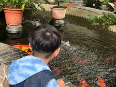 -周大娘牛乳(旧寨古村总店)