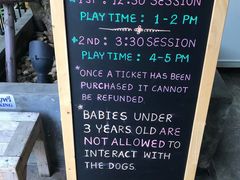 -TrueLove @ Neverland (Husky Cafe)