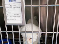 -宠颐生动物医院·小陆分院