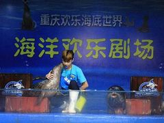 -重庆欢乐海底世界