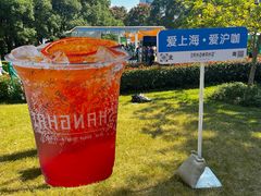 -陆家嘴中心绿地