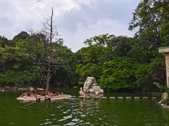 -昆明动物园