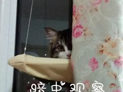 -好好栗子店(海宁总店)
