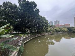 -晓港公园