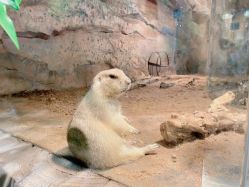 -Zoolung Zoolung动物主题公园(海信广场店)