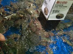 -盒马X会员店(王府井奥莱UP TOWN店)
