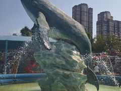 -海合安武汉极地海洋公园