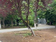 -合肥野生动物园