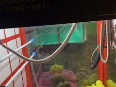 -魔方密室·解谜挑战(静安店)