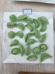 点击看大图 -馨月汇·一悦馨香月子中心(前滩店)