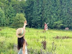 -武陵山森林公园