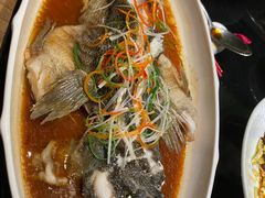 -辛香汇·现炒川菜(淮海路百盛店)