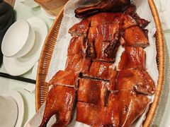 -老广酒楼(樱花店)