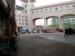 -三亚新鸿港水果一级批发市场