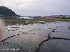 -杭州植物园