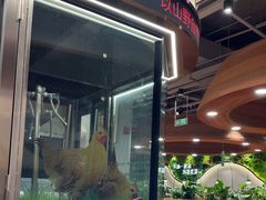 -云海肴汽锅鸡·云南小炒(曲江大悦城店)