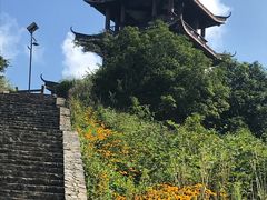 -武陵山森林公园