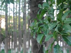 -华东理工大学·停车场
