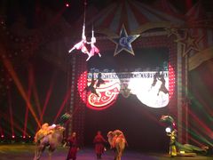 -珠海横琴长隆《卡卡虎奇遇记》