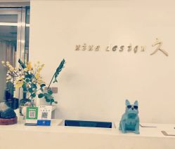 -凤五·NINE-DESIGN久设计