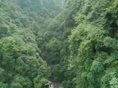 -碧峰峡风景区
