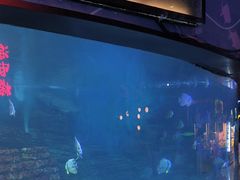 -烟台海昌鲸鲨海洋公园