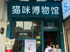 -猫咪博物馆(顶澳仔猫街店)
