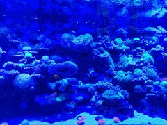 -太平洋海底世界