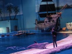 -华夏文旅海洋公园