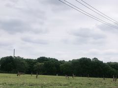-嘉北郊野公园