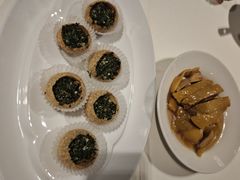 -席家花园(巨鹿花园店)