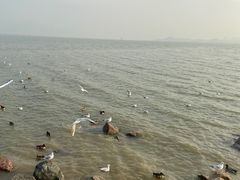 -深圳湾公园(南山区)