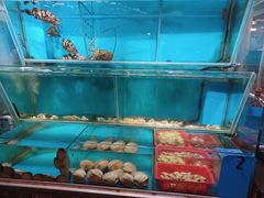 水产区-鲜入围煮花胶鸡海鲜火锅