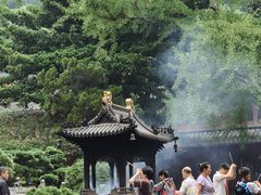 -普陀山风景名胜区-法雨禅寺