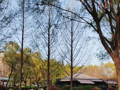 -唐城墙遗址公园