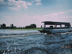 -白洋淀景区