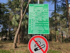 -南京十朝历史文化园-停车场