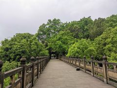 -南山植物园