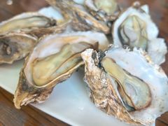 -鲁前海沿儿