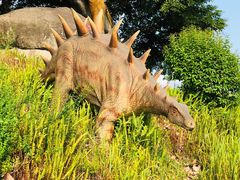 -自贡恐龙博物馆