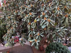 -厦门良筑精品酒店(厦门中山路店)